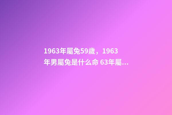 1963年屬兔59歲，1963年男屬兔是什么命 63年屬兔的2022年的運勢，63年屬兔2023年運程及運勢-第1張-觀點-玄機派